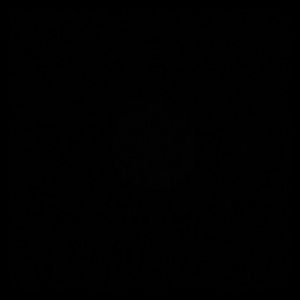 Meet your Posher, Jane